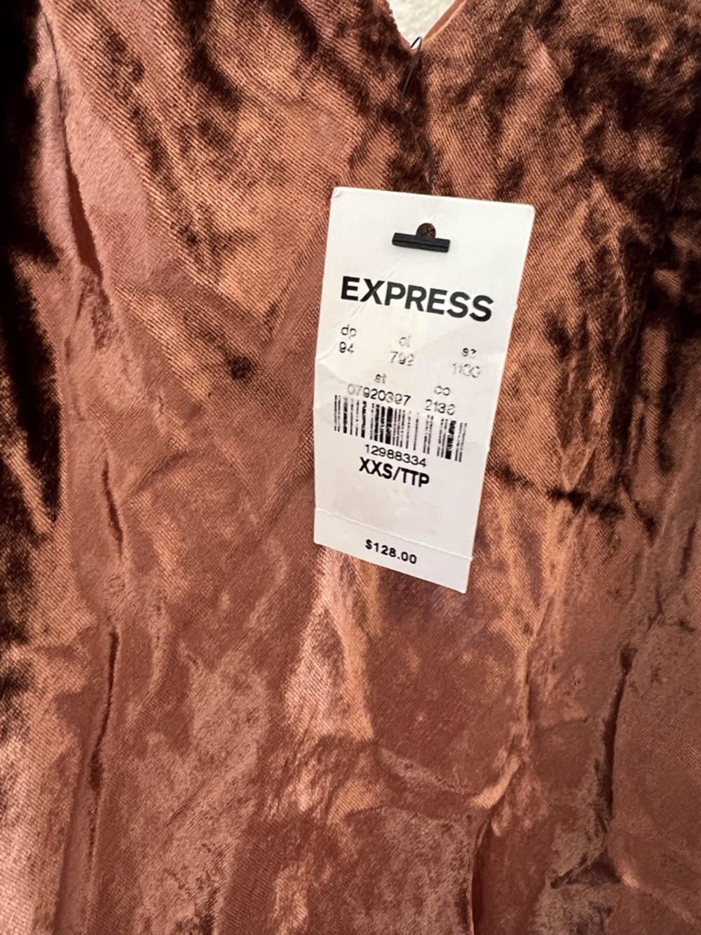 Express Velvet Maxi Slip Dress - Picture 4 of 4